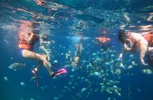 Snorkeling by the Arch with Personalized Guide