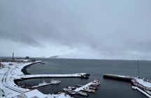Whale Watching from Akureyri with Roundtrip Transfer