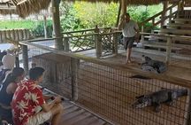 Miami Little Havana Everglades National Park Small Group Tour