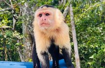 Exotic Wildlife and Monkey on Gatun Lake