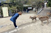 3 Day Kansai Highlights, Osaka, Nara and Kyoto
