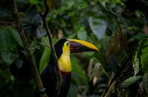 Manuel Antonio National Park Guided Tour