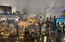 Kanazawa : World-Class Fukui Dinosaur Museum Small Group Tour
