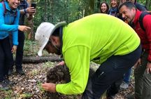 From Sofia: Mushroom Foraging & Wild Food Experience with Dobrin