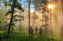 From Sofia: Mushroom Foraging & Wild Food Experience with Dobrin