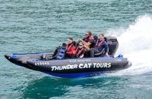 Phillip Island: High-Speed Sea Caves Boat Tour with Seal Sighting