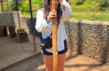 Materuni Waterfalls Hike and Organic Coffee Brewing Half day Tour