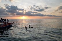 Private Gili Snorkelling Tour: Turtles & Reefs + GoPro + Drinks