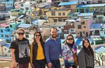 (On-Time Return) Busan Cruise Shore Excursion for Small Group