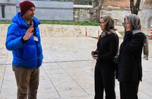 Istanbul Heritage Tour: Hagia Sophia, Basilica Cistern and More