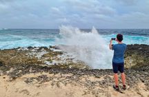 Washington Slagbaai Park Full Day including Hike and Snorkel