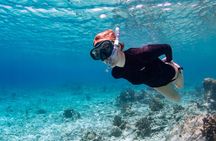 Washington Slagbaai Park Full Day including Hike and Snorkel