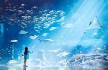 Lost World Aquarium Ticket in Atlantis Dubai