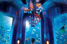 Lost World Aquarium Ticket in Atlantis Dubai