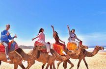 Tangier 4-Hour Private Tour: Camel Ride, Food & Shopping