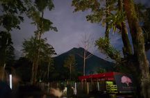 La Fortuna Night Walk - Sloths, Frogs, & Wildlife (Small Group)