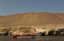 Full day Paracas Ica Tourist Transport from Lima