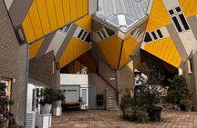 Rotterdam Delft and The Hague Premium Day Tour with Hotel Pickup