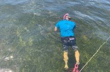 Underwater adventure! Snorkel For Scallops!