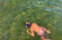 Underwater adventure! Snorkel For Scallops!