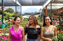 From Puebla: Private tour Atlixco and Atlimeyaya all inclusive