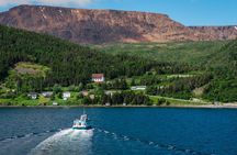 Tablelands Bonne Bay Catamaran Tour