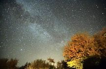 Astronomical Tour: A Night with the Stars