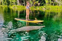 Silver Springs Clear Kayak Tour – Manatees & Monkeys Tour