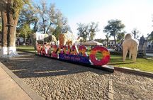 Patzcuaro and Janitzio Culture and Tradition from Morelia