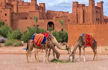 Day Hike in the Atlas Mountains & 3-Day Sahara Desert Tour