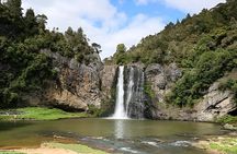 Auckland Waterfall Tour