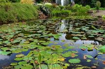 Auckland Waterfall Tour