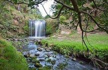 Auckland Waterfall Tour