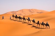 BEST 9 Days Private Tour from Casablanca to Marrakech and Desert