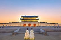Full Day Customizable and Private Guided Tour in Seoul