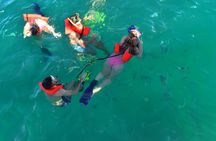 Cabo San Lucas Catamaran Snorkeling Tour