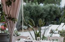 Plakias Authentic Cretan Wine Tasting Experience