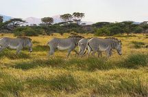 6 Days Safari Masai Mara Naivasha Amboseli Adventure