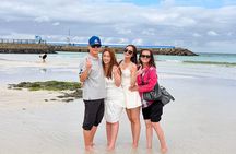 Jeju Island Eastern UNESCO site Full Day Guided Tour
