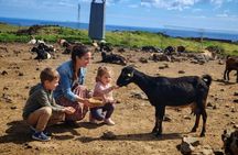 Lanzarote: Award-Winning Goat Cheese & Wine Tasting at Rural Farm