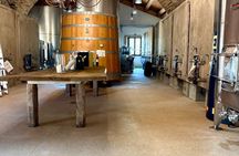 Wine tasting and visit to the winery a few steps from Cagliari