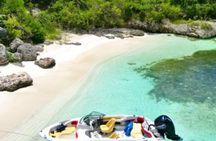 Guided Snorkel With Sea Turtles Green Island + Rum Punch + Snack