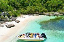 Guided Snorkel With Sea Turtles Green Island + Rum Punch + Snack