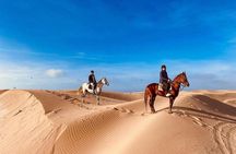 Agadir: Horseback Riding Beach Experience with Hotel pick-up