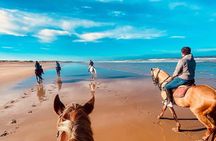 Agadir: Horseback Riding Beach Experience with Hotel pick-up