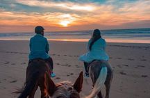 Agadir: Horseback Riding Beach Experience with Hotel pick-up