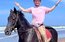 Agadir: Horseback Riding Beach Experience with Hotel pick-up