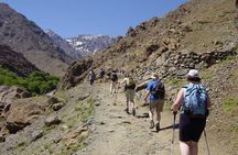 Private Guided Atlas Day Tour Fom Marakech & lunch in Family Home