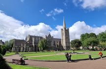 Dublin City Main Sights Private Walking Tour - 2 Hours 30 Minutes