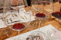 Exclusive wine tasting in Florence